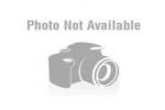 Go to lyricstraining lyricstraining logo